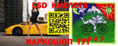 спиды Дубна