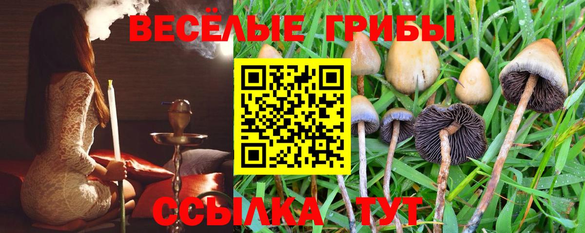 Псилоцибиновые грибы MAGIC MUSHROOMS Мичуринск