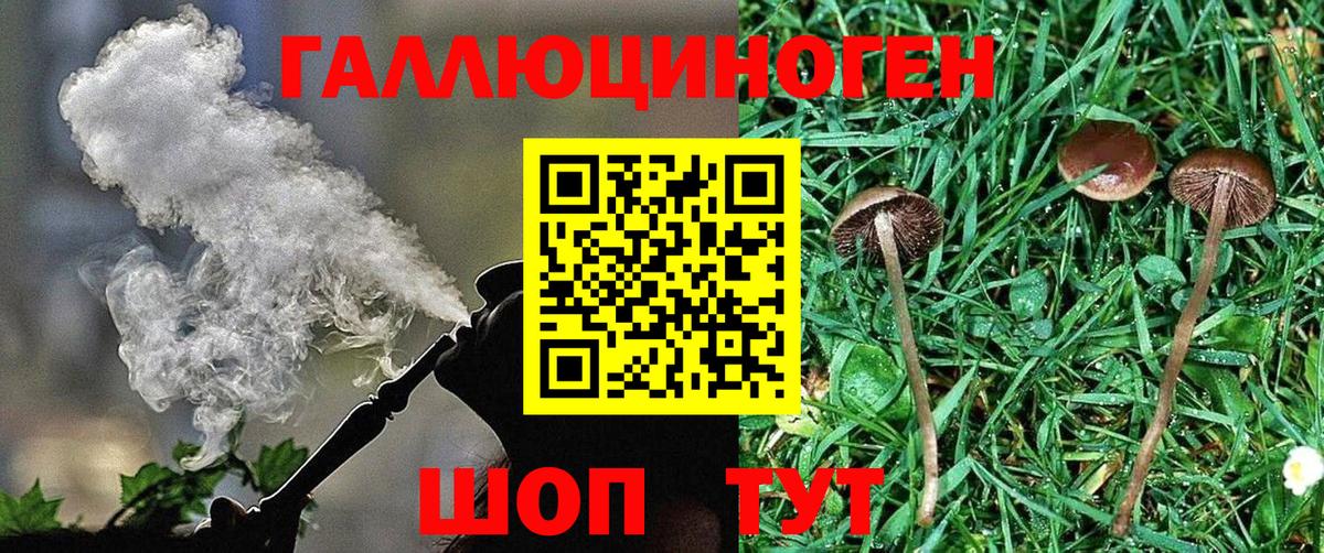 Мичуринск  Галлюциногенные грибы Psilocybe  Вход с VPN 